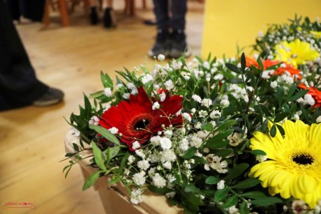 IMG_5887 (Medium)