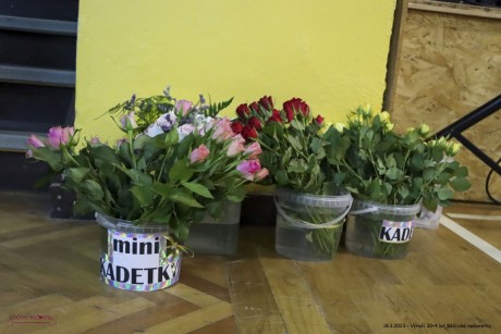 IMG_5915 (Medium)