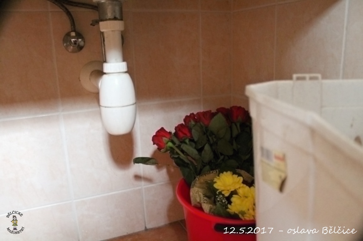 IMG_6287 (Medium)