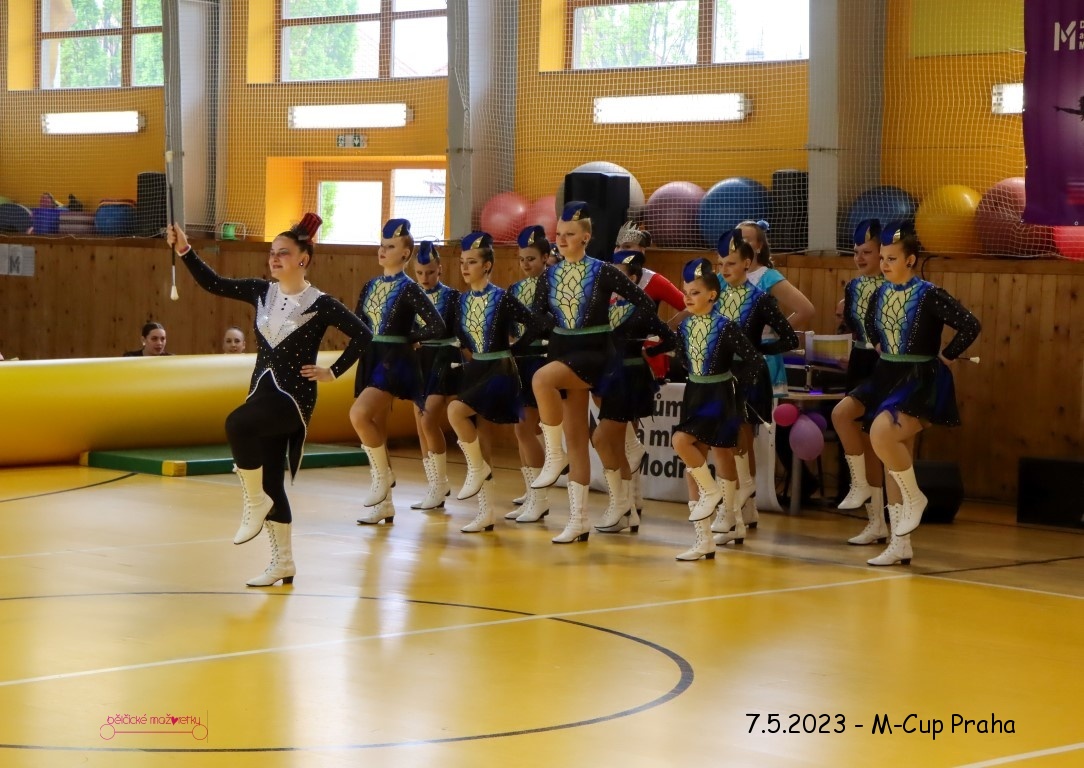 IMG_0910 (Medium)