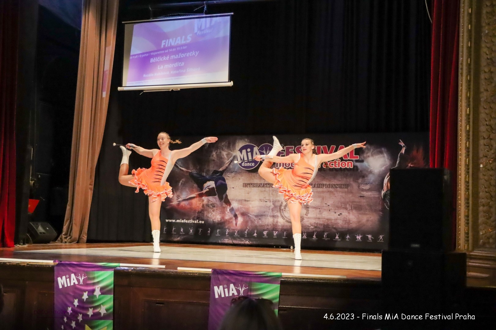 IMG_4631 (Large)