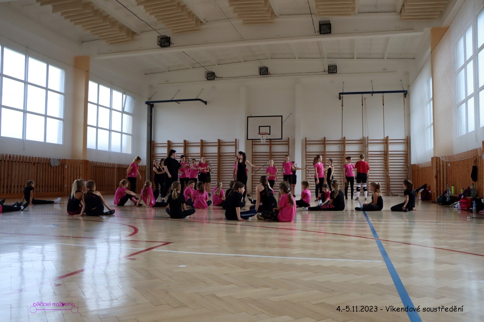 IMG_2966 (Large)